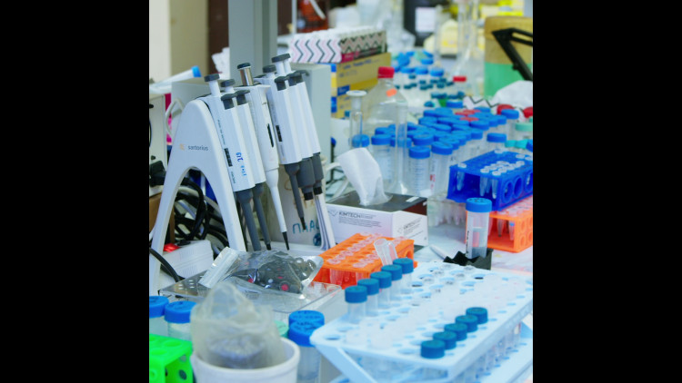  Зеленый квадрат