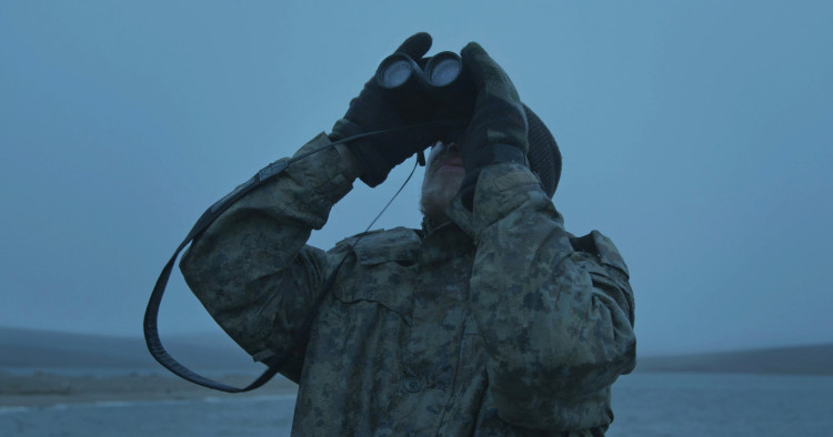 Выход / Haulout