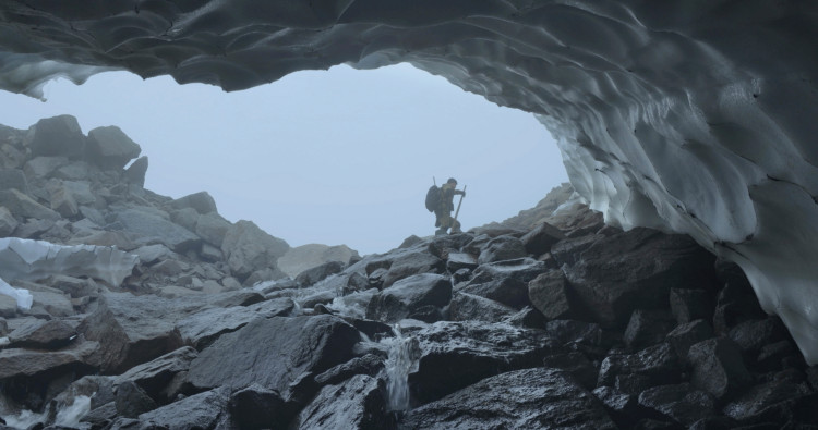 Выход / Haulout