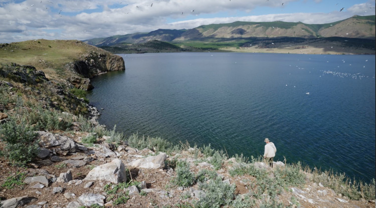 Птицы и люди науки