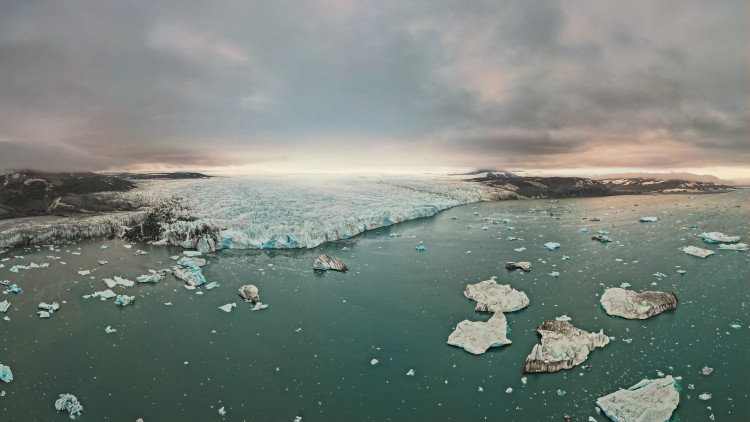Влюбленные в Арктику
