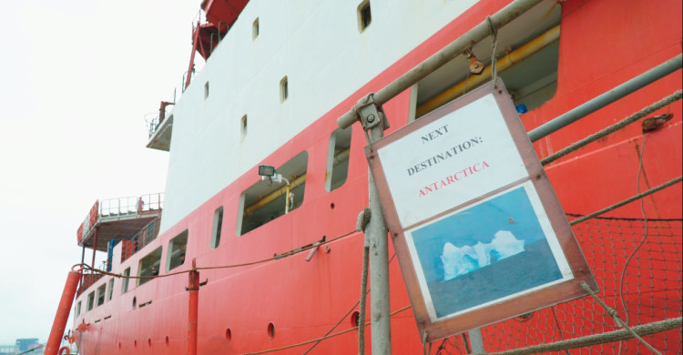 Свобода в квадрате Свобода в квадрате