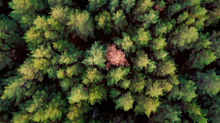 Атомные энтузиасты Атомные энтузиасты