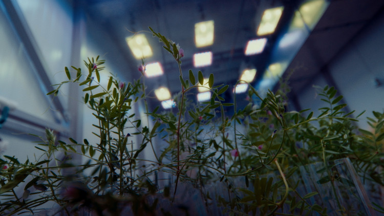 Поле для вычислений