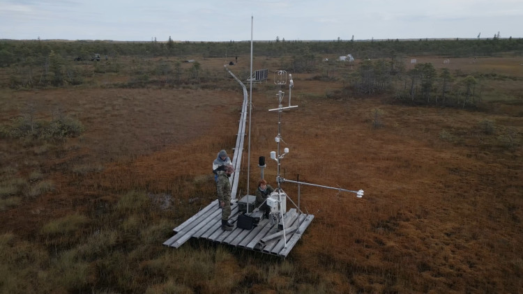 Карбоновые полигоны. Фильм второй