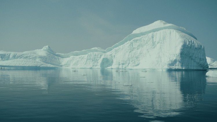 Наблюдатель / Observer