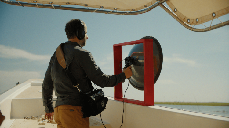 Наблюдатель / Observer