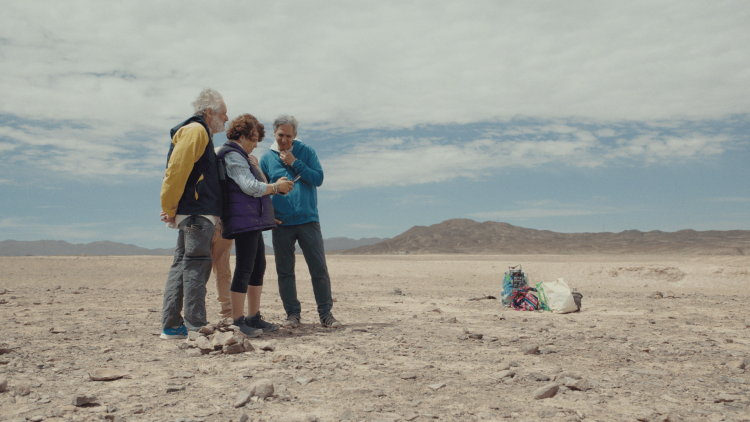 Наблюдатель / Observer