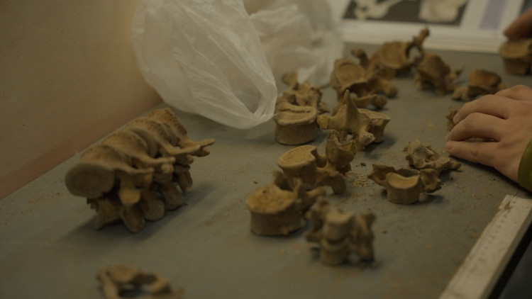 Там, где ищут ответы