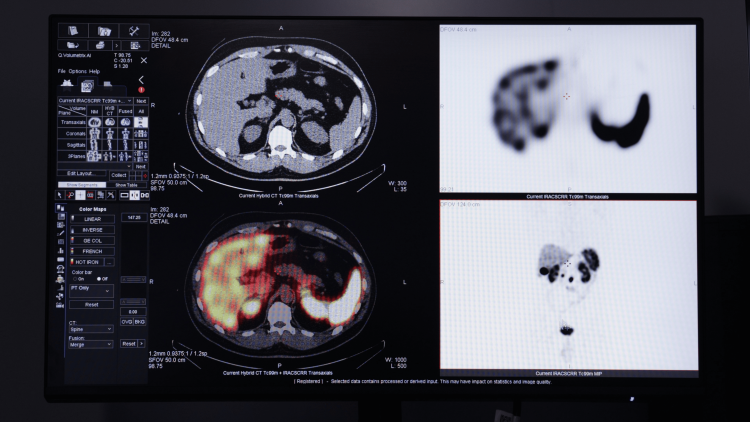 Там, где ищут ответы