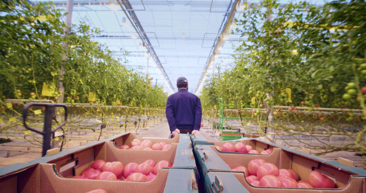 Там, где ищут ответы