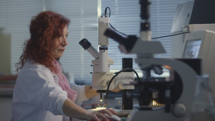 Фабрика заблуждения (Manufacturing Ignorance)