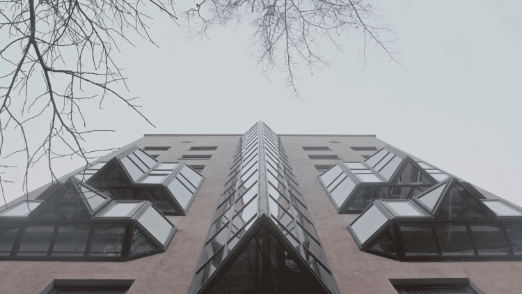 Как я перестала волноваться и полюбила математику