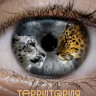 Территория привязанности