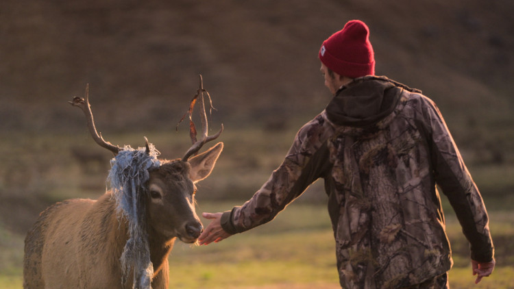 Территория привязанности