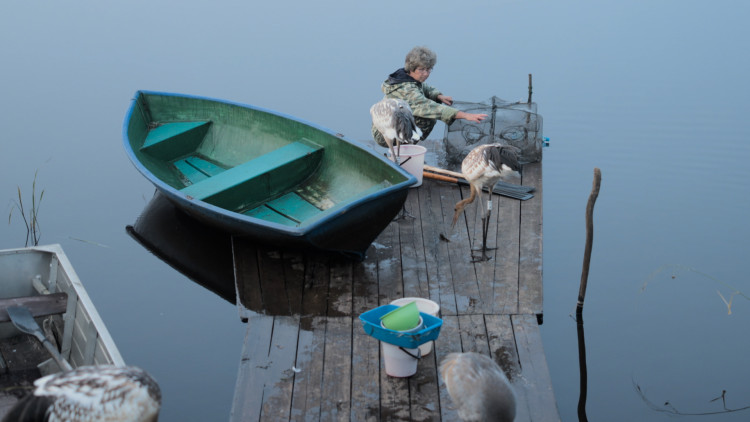 Территория привязанности