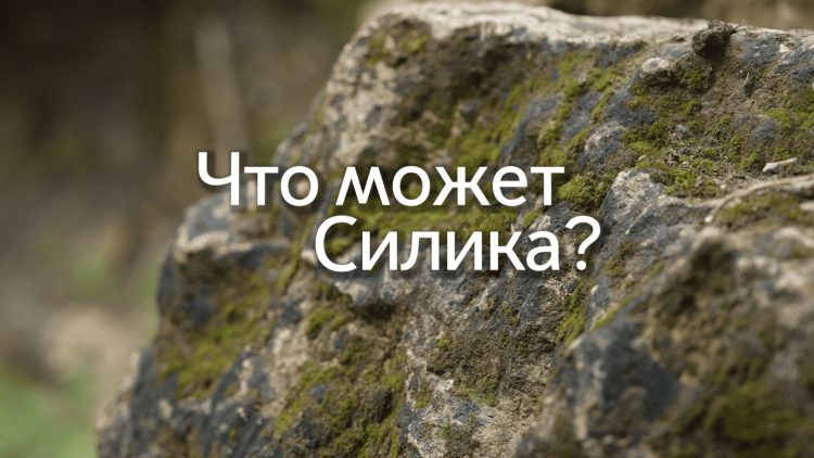 Что может силика?