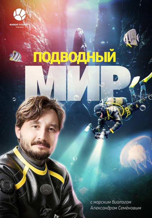 Подводный мир. Белое море