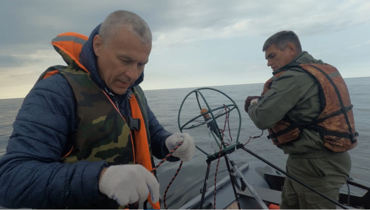 Восьмой свист морского зайца