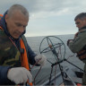 Восьмой свист морского зайца Восьмой свист морского зайца