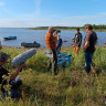 Восьмой свист морского зайца Восьмой свист морского зайца