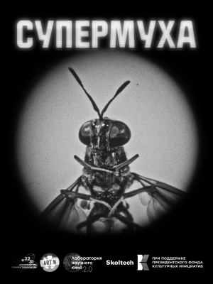 Супермуха