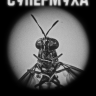 Супермуха