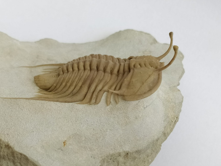 Россия - пути времени Россия - пути времени