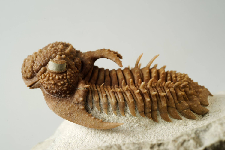 Россия - пути времени Россия - пути времени