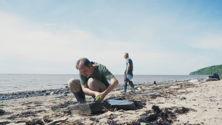 Россия - пути времени Россия - пути времени