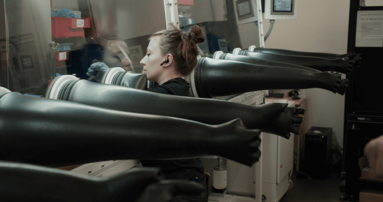 Борщевик - герой нашего времени