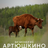 Визионер из Артюшкино
