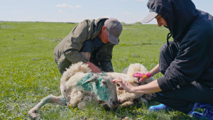 Визионер из Артюшкино