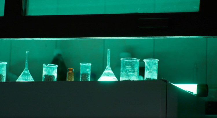 Как совершить научное открытие Как совершить научное открытие