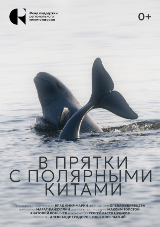 В прятки с полярными китами