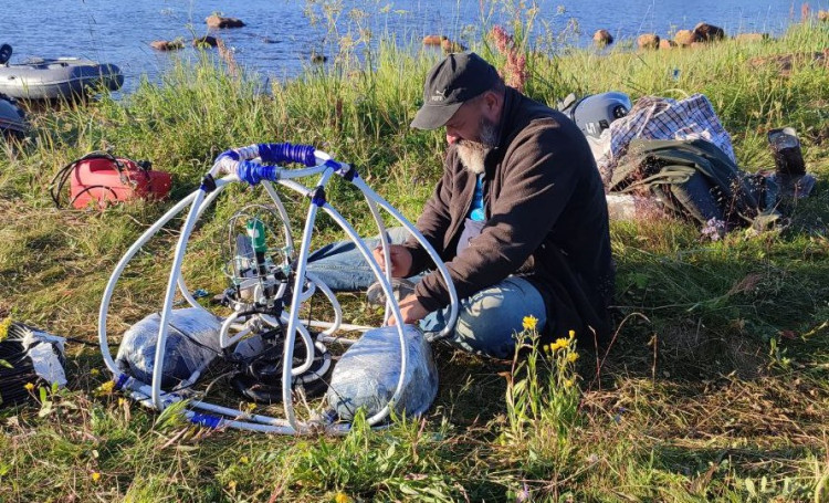 В прятки с полярными китами