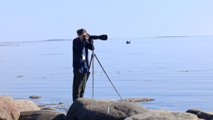 В прятки с полярными китами