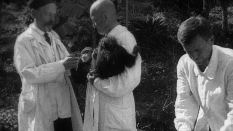 Иваново дело