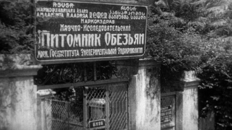 Иваново дело