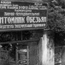 Иваново дело