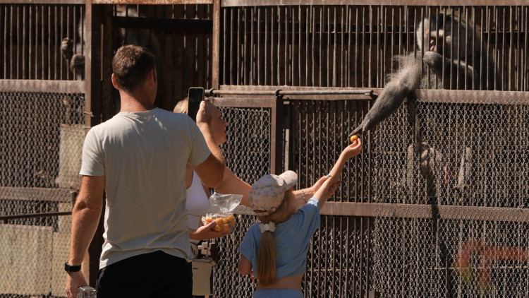 Иваново дело