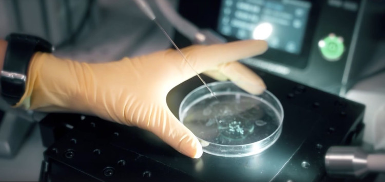 Приближая будущее