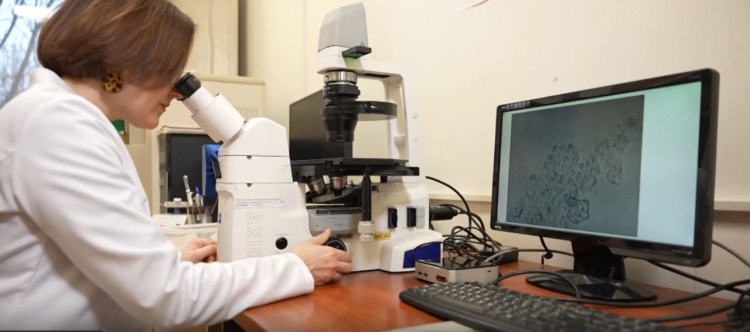 Приближая будущее